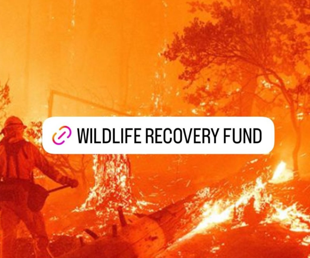 Have options. They’re a&nbsp;superpower